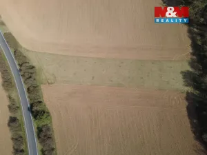 Prodej pole, Drevníky, 4478 m2