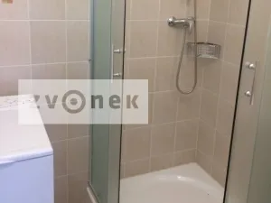 Pronájem bytu 2+1, Zlín - Prštné, K. Světlé, 60 m2