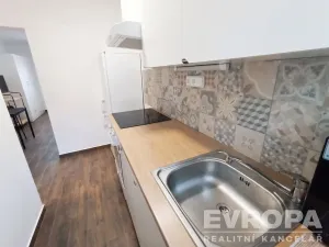 Pronájem bytu 1+1, Vševily, 30 m2