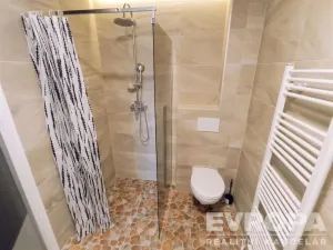 Pronájem bytu 1+1, Vševily, 30 m2