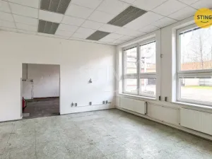 Pronájem skladu, Ostrava, Paskovská, 600 m2