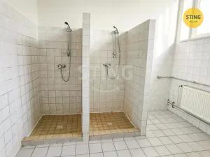 Pronájem skladu, Ostrava, Paskovská, 600 m2