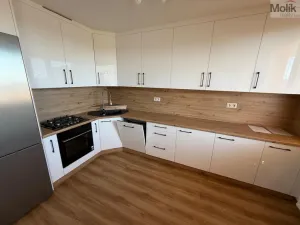 Prodej bytu 3+1, Most, Růžová, 68 m2