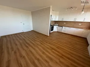 Prodej bytu 3+1, Most, Růžová, 68 m2