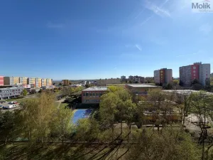 Prodej bytu 3+1, Most, Růžová, 68 m2