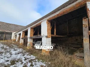 Prodej zemědělské usedlosti, Dolní Bukovsko, 236 m2