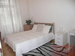 Pronájem bytu 3+kk, Praha - Vinohrady, Italská, 128 m2