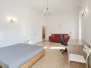 Pronájem bytu 3+kk, Praha - Vinohrady, Italská, 128 m2