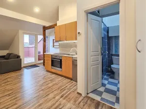 Pronájem bytu 2+kk, Brno, Mathonova, 62 m2