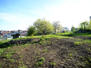 Prodej pozemku pro bydlení, Větrušice, Úzká, 810 m2