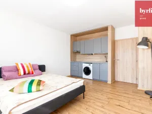 Prodej bytu 1+kk, Opava, Na Pastvisku, 25 m2