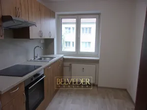 Pronájem bytu 3+1, Ústí nad Labem, Sociální péče, 65 m2