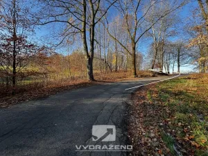 Prodej louky, Pulečný, 1039 m2