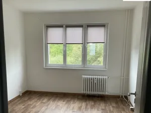 Prodej bytu 2+1, Cheb, 17. listopadu, 49 m2