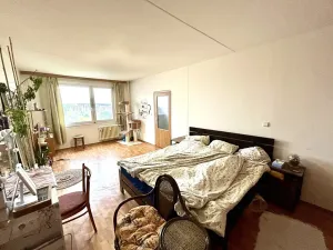 Prodej bytu 2+1, Pardubice, Luďka Matury, 71 m2