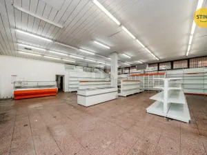 Prodej obchodního prostoru, Ostrava - Muglinov, Švédská, 530 m2