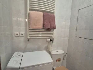 Prodej bytu 1+kk, Beroun - Beroun-Město, Nad Paloučkem, 36 m2