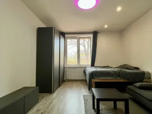 Pronájem bytu 1+1, Ostrava - Zábřeh, Březinova, 41 m2