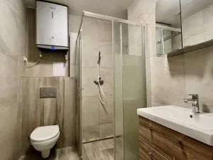 Pronájem bytu 1+1, Ostrava - Zábřeh, Březinova, 41 m2