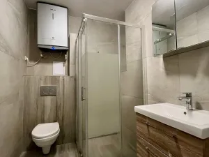 Pronájem bytu 1+1, Ostrava - Zábřeh, Březinova, 41 m2