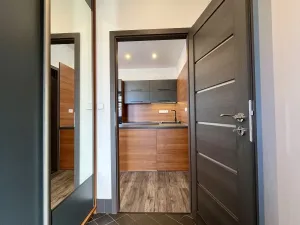 Pronájem bytu 3+kk, Ostrava - Heřmanice, Koněvova, 59 m2