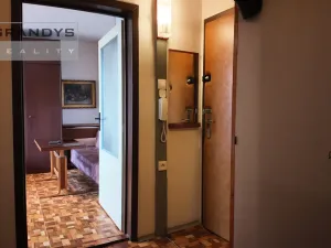 Prodej bytu 1+kk, Praha, Rodopská, 32 m2