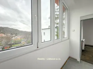 Prodej bytu 2+kk, Ústí nad Labem - Střekov, Purkyňova, 48 m2