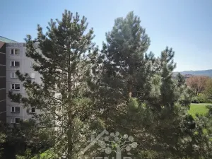 Pronájem bytu 3+1, Liberec, Haškova, 75 m2