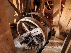 Prodej chalupy, Osečná, Českolipská, 500 m2