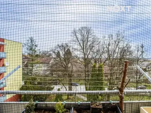 Prodej bytu 3+1, Borovany, Nová, 65 m2