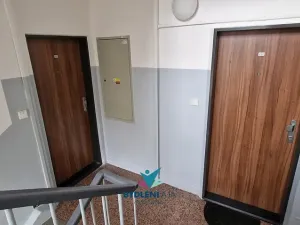 Prodej bytu 2+1, Teplice, Štúrova, 56 m2