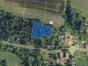 Dražba lesa, Libecina, 2475 m2