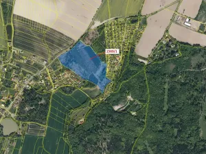 Dražba lesa, Chrudim, 59928 m2