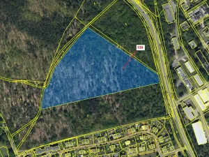 Dražba lesa, Rybitví, 37060 m2