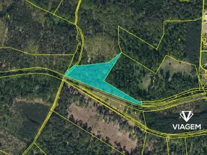 Prodej podílu lesa, Dašice, 3483 m2