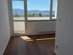 Pronájem bytu 1+kk, Liberec, Březová alej, 22 m2