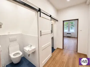 Pronájem bytu 2+kk, Praha - Libeň, Novákových, 60 m2
