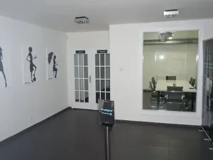 Pronájem kanceláře, Praha - Holešovice, Dobrovského, 362 m2