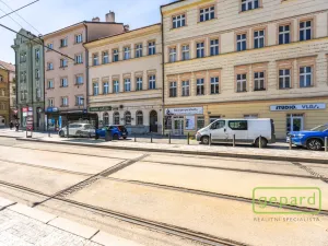 Pronájem bytu 1+kk, Praha, Radlická, 38 m2