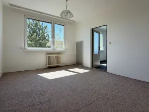 Prodej bytu 1+1, Louny, Březinova, 36 m2