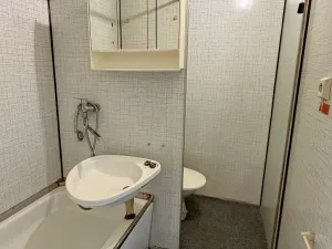 Prodej bytu 1+1, Louny, Březinova, 36 m2