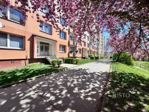 Pronájem bytu 1+1, Ústí nad Labem - Ústí nad Labem-centrum, Stará, 36 m2