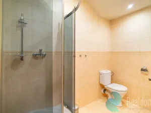 Prodej bytu 6+kk a větší, Trhové Sviny, Trocnovská, 140 m2