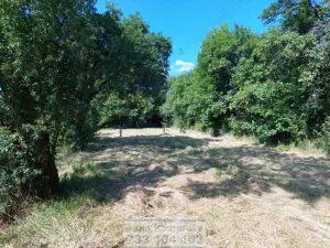 Pronájem zahrady, Krnov - Pod Bezručovým vrchem, Bruntálská, 400 m2