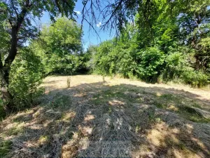 Pronájem zahrady, Krnov - Pod Bezručovým vrchem, Bruntálská, 400 m2