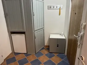 Pronájem bytu 1+kk, Brno - Židenice, Bořetická, 32 m2