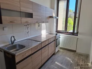 Pronájem bytu 1+1, Děčín, Horská, 38 m2