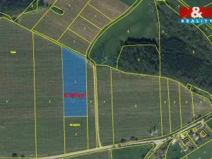 Prodej pole, Synkov-Slemeno - Slemeno, 8946 m2