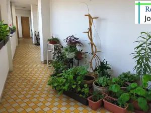 Prodej bytu 1+1, Liberec, Franklinova, 30 m2