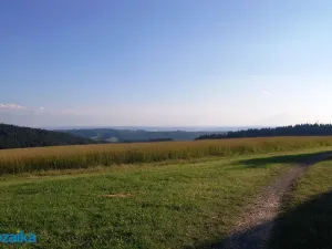 Prodej louky, Výprachtice, 867 m2